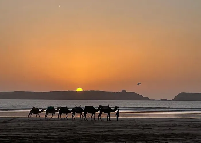 La Symbiose Essaouira